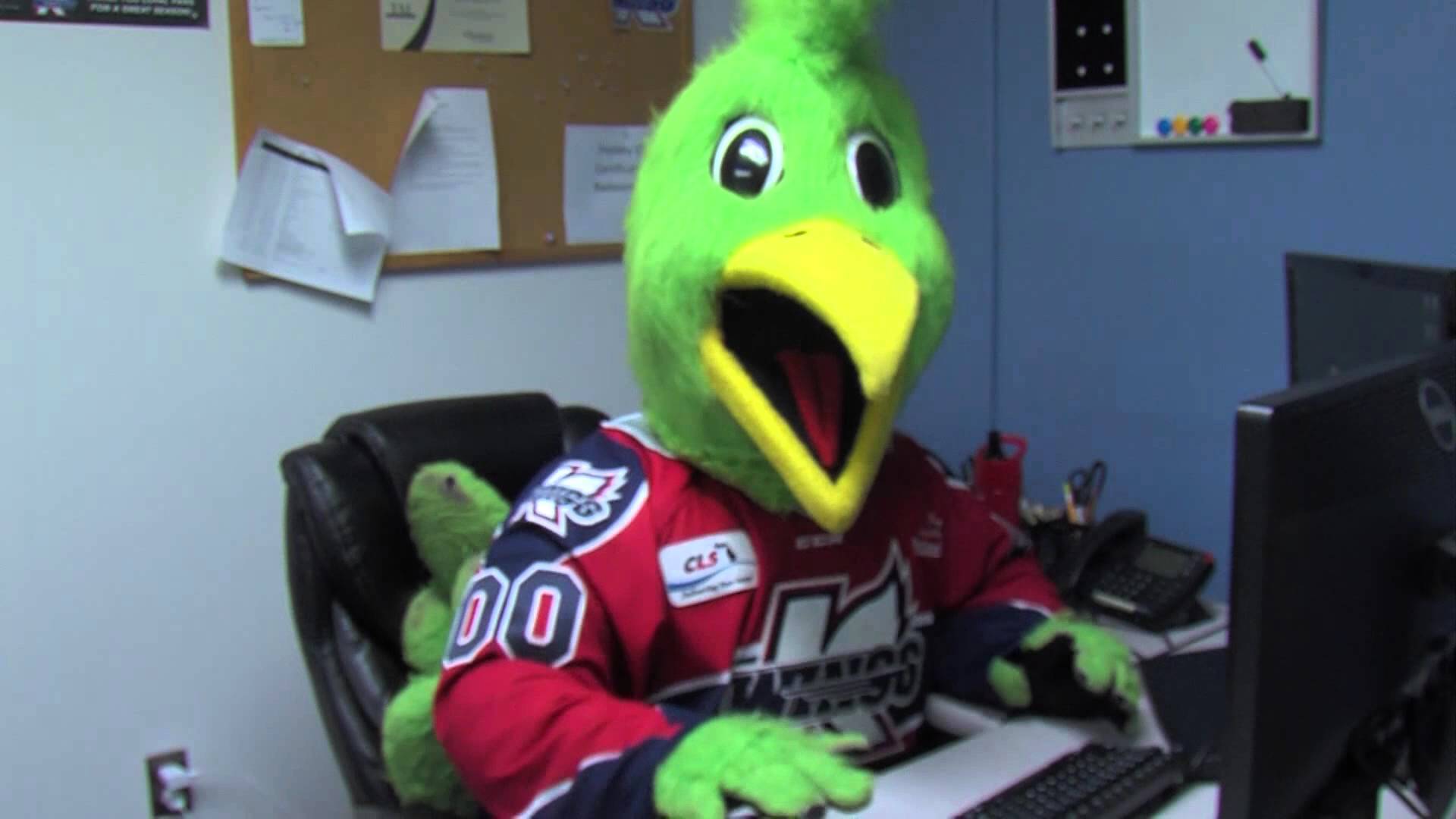 Mascot Porn - VIDEO] Hockey mascot searching for bird porn â€“ Hockey Squawk
